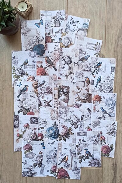 Mona Craftist 22 Adet Eskitme Vintage Scrapbook Temalı Scrapbook Kağıt Seti B...