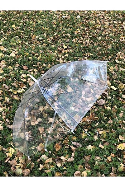 Technoi 8 Telli Fiber Iskelet Otomatik Açılır Şeffaf Şemsiye