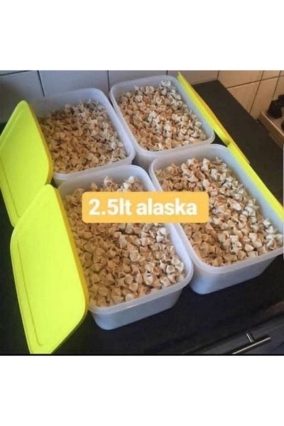 Tupperware 4 Pieces 2.5 LT Alaska