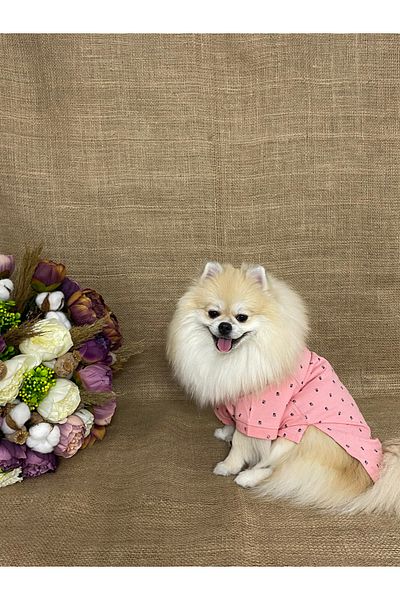 MARİA PET FASHİON Dog & Cat Clothes & Athlete & Polo Collar T-Shirt