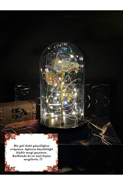 Lapidaria Fanus Içerisinde Dekoratif RGB Peri Led Işıklı Solmayan Sonsuzluk G...