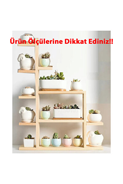 Tiydem Ahşap Masaüstü Pencere Önü Rafı / Skulent, Kaktüs Saksı Rafı/ Ahşap Çi...