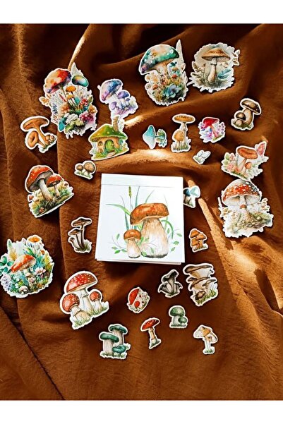 EyER Shoping Mantar Mushroom Sticker Scrapbook Kitapçığı