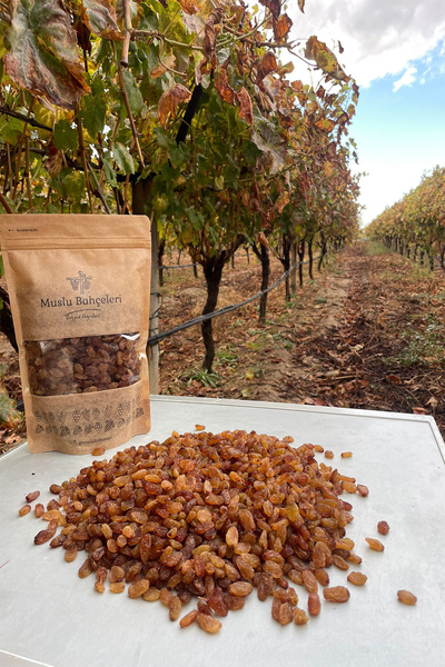 Muslu Bahçeleri kuru üzüm