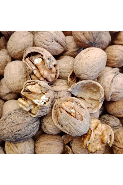 Yeniay Yerli Kabuklu Yayla Cevizi Yağı Oranı Yüksektir sert kabuk