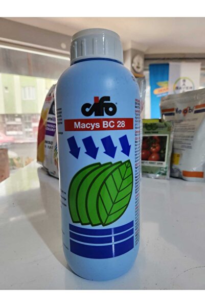 Cifo MACYS 1LT DENİZ YOSUNU