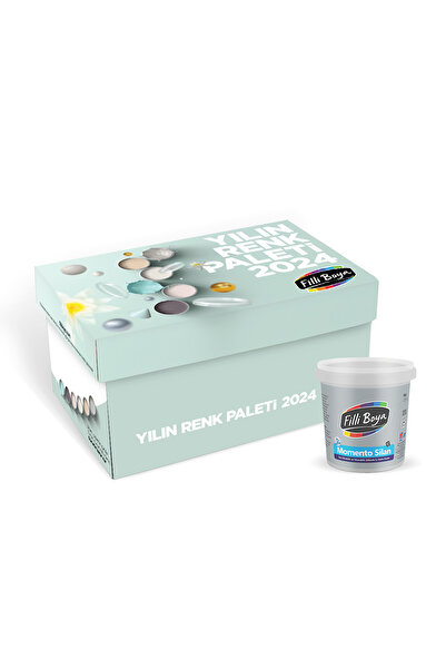 Filli Boya Yılın Renk Paketi Momento Silan 6'lı kutu