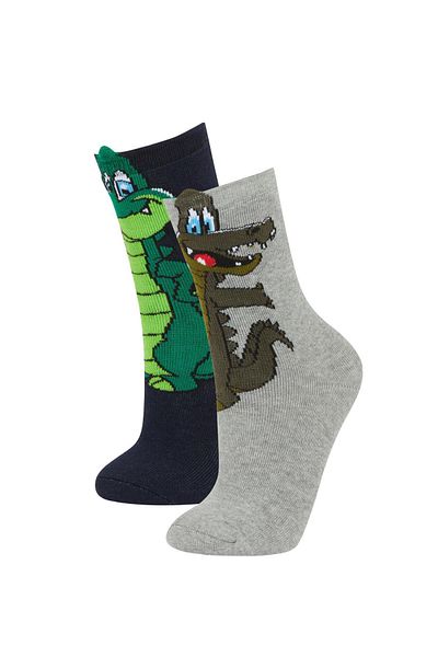 DeFacto Boy's 2-Piece Cotton Long Socks A6677a8ns