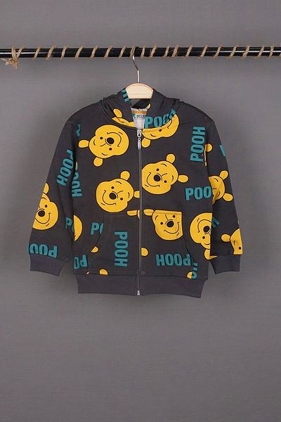 NSE COLLECTION Unisex Kids Winnie and Pooh Printed Smoke Color Seasonal Hooded Cardigan