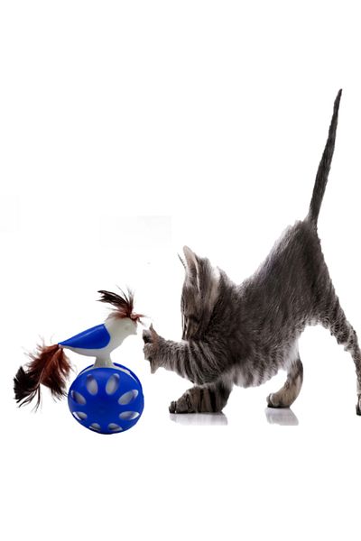 TİNEKE WHEELED UNBLEAKING BIRD CAT TOY BLUE 1 PIECE