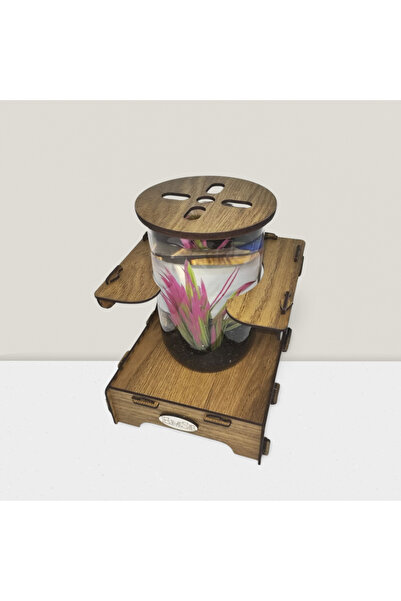 Quun Beta Mini Akvaryum Ahşap Tasarım