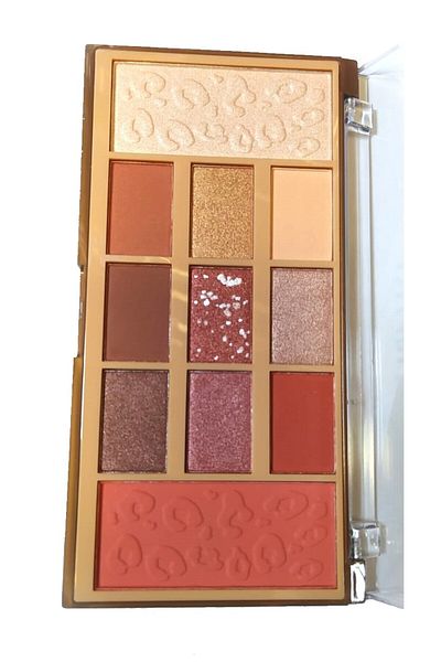 MONİCATİME AND 11-Piece Eyeshadow Palette - Blush and Illuminating Eyeshadow