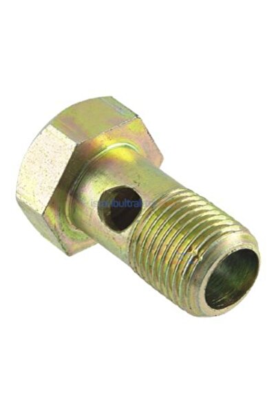 TÜMERSAN BASTON BORUNUN DELİKLİ CİVATASI (Rekorlu) (M.16)