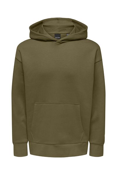 Only & Sons Kapuzenpullover Onsdan Sweatshirt