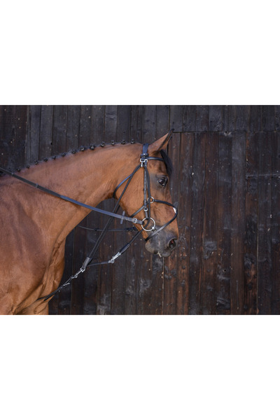 Asi At Gok - At Koşum Malzemeleri