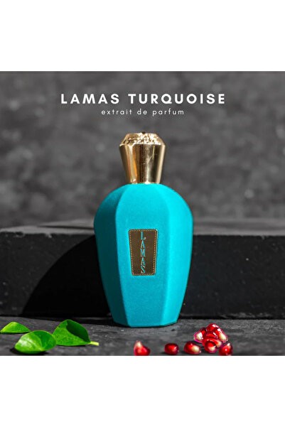Lamas Turkuaz