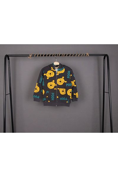 NSE COLLECTION Unisex Kids Winnie and Pooh Printed Smoke Color Seasonal Hooded Cardigan