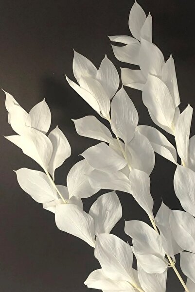 Goya Home وعاء زهرة روسكوس الأبيض المذهول ذو 5 فروع ووعاء زهرة الزفاف