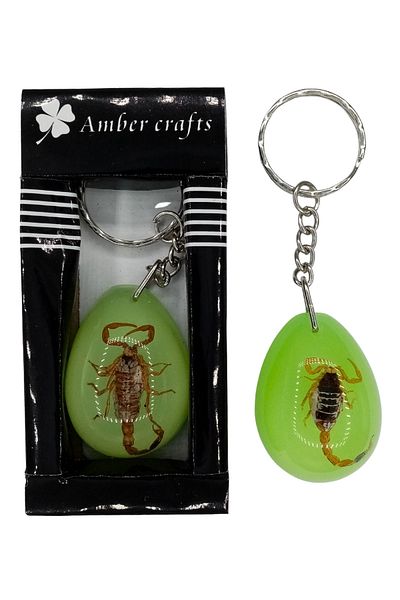 Dünyadan Hediyeler Fossil Scorpion Keychain Green Drop Resin Inside