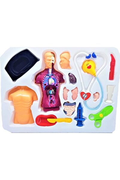 Bircan Oyuncak Anatomy Human Body Doctor Play Set 18 Pieces