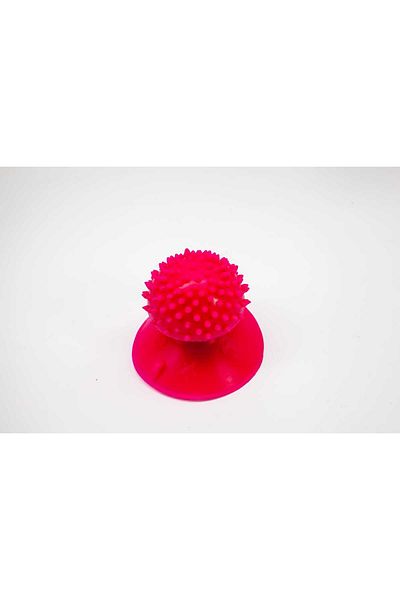 TİNEKE Cat Itching Apparatus with Suction Cup Mushroom Pink 1 Piece