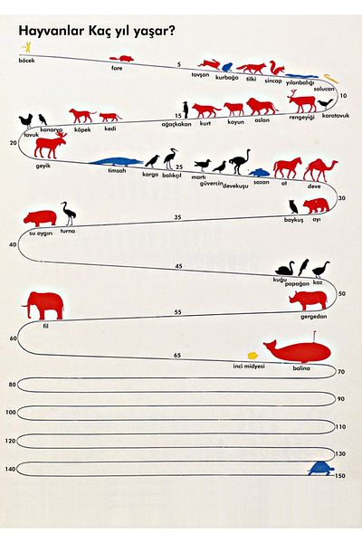 TELLGRAF Animal Life Span Board for Schools (25x35 cm)