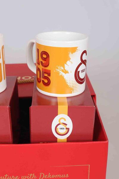 Galatasaray ÖZEL KUTULU LiSANSLI 2'Lİ KUPA