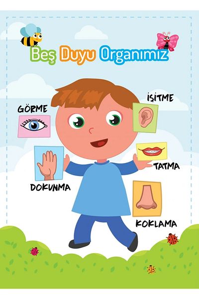 TELLGRAF Our Five Senses Board for Schools (25x35 cm)