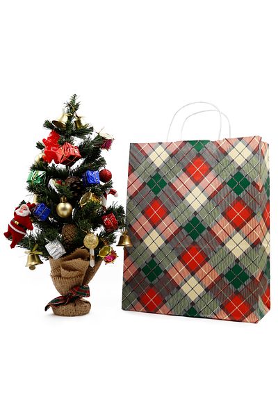 reprodesign New Year's Themed Colorful Spiral Handle Paper Bag 25 x 31 x 12 cm - 2 New Year's Gift Packs