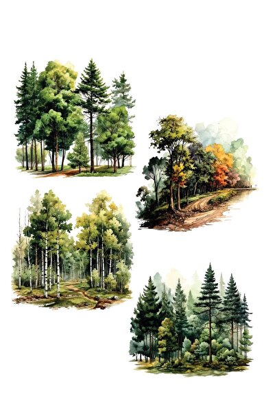 MyHobby Water Transfer Paper Sml-75 25X35 cm