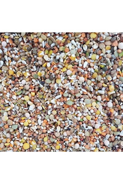 Doğalsan Tarım Güvercin Yemi 1 Kg 10 Karışım Lüks Yem Buğdaysız Güvercin Yemi...
