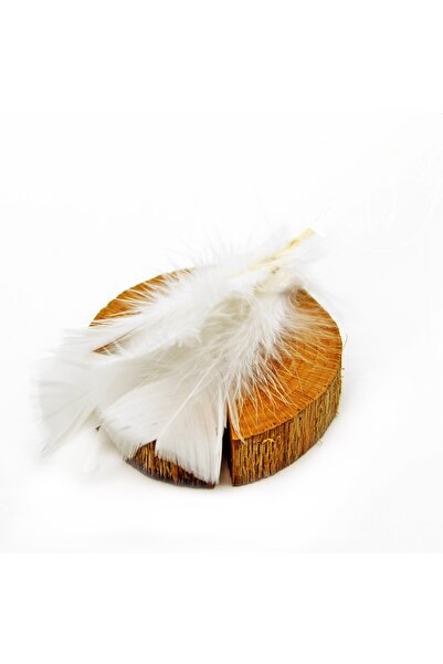 Huzur Party Store Beyaz Renkli Doğal Tüy Dekoratif Süsleme El Işi Hobi Malzem...