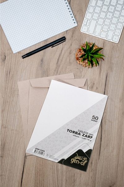 Gen-Of Bag Envelope 26x35 Kraft 90 Gr Silicone 250 Liters