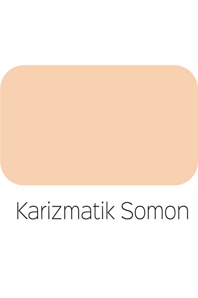 Polisan Elegans Extra Yarı Mat Silikonlu Iç Cephe Boya - 4248-karizmatik Somon Ci-7131