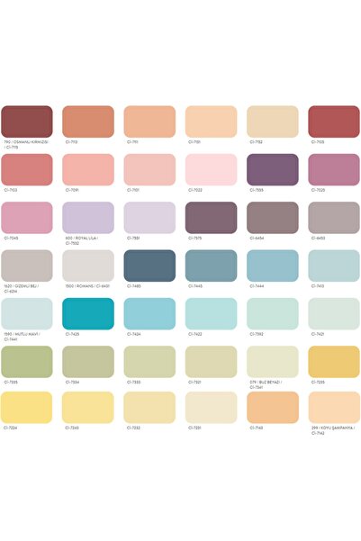 Polisan Elegans Extra Yarı Mat Silikonlu Iç Cephe Boya - 4248-karizmatik Somon Ci-7131