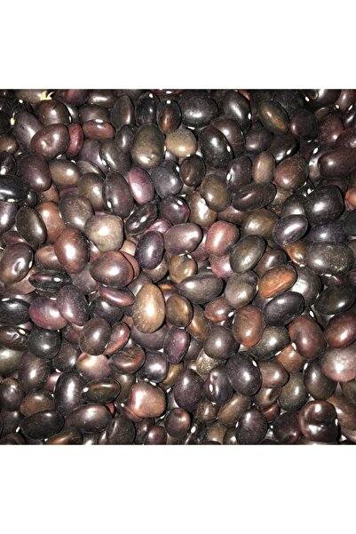 Karahasanoğlu Tarım Yerli Uzun Enli Turşuluk Fasulye Tohumu 500 Gr (mor)