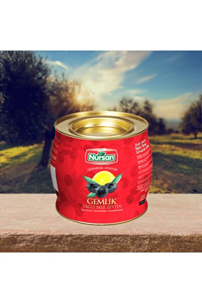 Nursan Gıda Özel Iri Yağlı Sele Zeytin 2 Kg