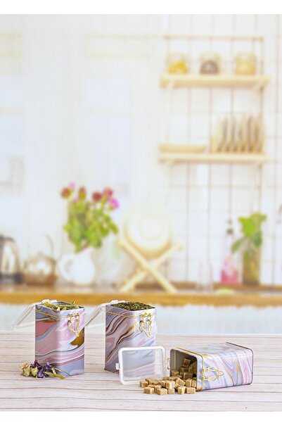 EVLE Efb21ı0 Rectangular Lockable Storage Container 75x100x150 Set of 3, Liquid Pink