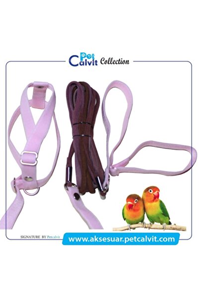Petcalvit Konur Papağan Tasması