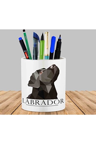 ART HEDİYE حامل أقلام على شكل صبار أسود من لابرادور