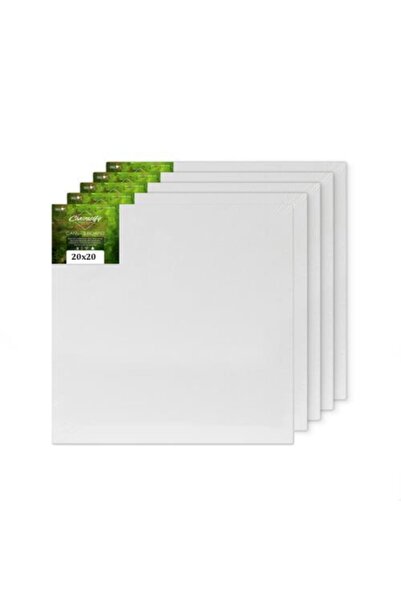 Hobialem 20x20 Cm, Tuval, 5 Li, Resim Tuvali, Ahşap Çerçeve, Tual, Akrilik Bo...