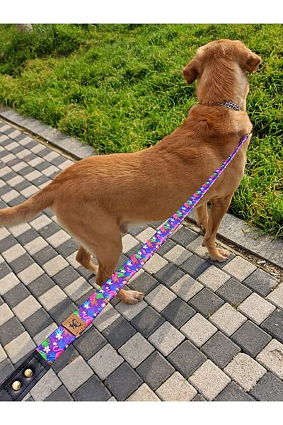 UTDpet Flamingo Dog Extension Leash Dispatch Strap Grande