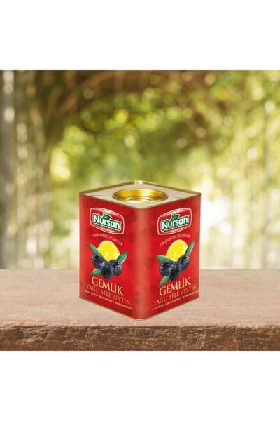 Nursan Gıda Lüx Zeytin 4kg