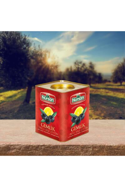 Nursan Gıda Mega Zeytin 4 kg