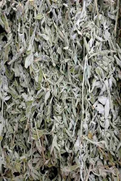 Genel Markalar Dökme Adaçayı 100 gr.