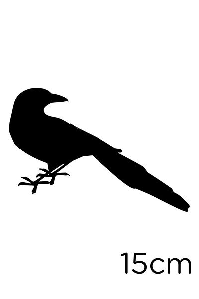 MIGNATIS Autocolant Lovely Bird cu coadă lungă cu privirea înapoi 15 cm - negru