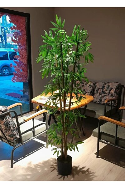 YEŞİLADA Yapay Bambu Ağacı 1.50 Mt Boy Doğal Bamboo Seperatör Çubuk Gövdeli