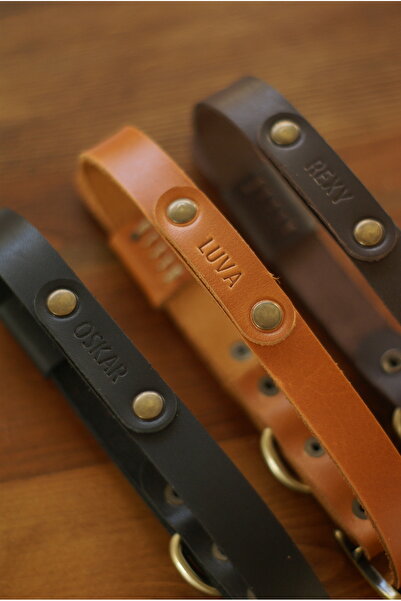 Craftelier Hakiki Deri Köpek Tasması - Ayarlanabilir - Pet İsmine Özel