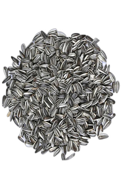 ÇIRPAN KUŞ DÜNYASI Mikro Çizgili Küçük Çekirdek Papağan Yemi 1 Kg (ÖZEL VAKUM...