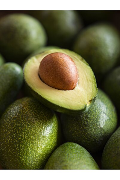 MYANAMUR 1 kg Avokado - Yerli Taze Hasat